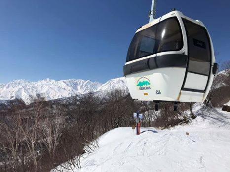 贝尔妮娜山林小屋 白马村 外观 照片