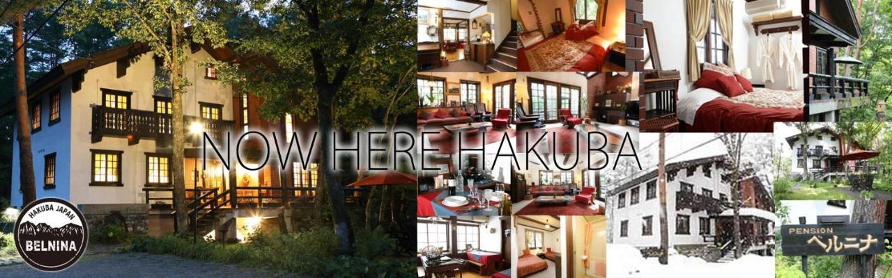 贝尔妮娜山林小屋 白马村 外观 照片