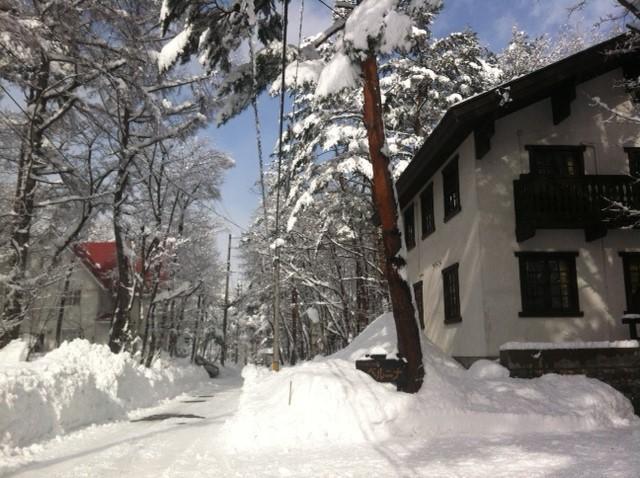 贝尔妮娜山林小屋 白马村 外观 照片